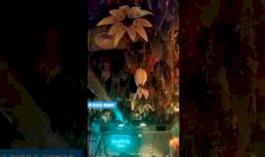 kinetic Flower | Blooming flowers +91 81225 40589 New Concept Art Decoration India