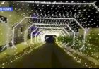 LED Light Arch Tunnel Entry Wedding Reception Decoration +91 81225 40589 India