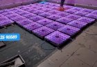 LED Interactive Floor 81225 40589 | Stage Floor | Dance Floor | Illusion | Mirror Glass Floor| New