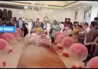 Balloon Blast entry +91 81225 40589 India | Chennai | Andhra | Bangalore | Goa | Mumbai | Coimbatore