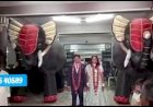 Elephant | Flower chain Bride Groom Entry 81225 40589 | Coimbatore | Chennai | Andhra | Pondicherry