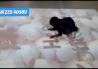 3D Floor Birthday party Event Decoration India 81225 40589 | Interactive floor | Interactive Wall