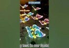 Butterfly Event Decoration 8122540589 Chennai Bangalore Hyderabad Mumbai Andhra Delhi jaipur India