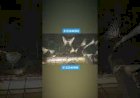 kinetic Butterfly Event Rent 8122540589 India Dancing moving mechanism Butterfly