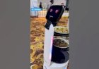 Robo Food catering service Grand Wedding Corporate Event 8122540589 Hyderabad Bangalore Chennai India