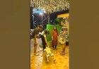 #Dog Robo Rent 8122540589 India New Interactive promotion Activities Chennai Bangalore Hyderabad