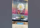#Kinetic Flower open close Mechanism Flower Event Decoration 8122540589 India Hyderabad Mumbai Delhi