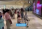 Ai Humanoid Robot Event Rent 8122540589 Indore Delhi Mumbai Gujarat Rajasthan Jaipur Hyderabad India