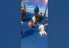 Dog Robot Kids Entertainment Event Expo Exhibition School College Activities New concept 8122540589