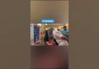 Ai Photo Booth Event Rent 8122540589 Chennai Bangalore Hyderabad Mumbai Goa Coimbatore Pondicherry