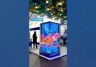 3D Anamorphic LED Video content 8122540589 Bangalore Hyderabad Chennai Mumbai Goa pune Gujarat india