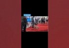 Dog Robot Event Rent 8122540589 Chennai Bangalore Hyderabad Mumbai Pune Goa Kerala pondicherry India