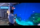 Interactive LED wall Event Rent 8122540589 Mumbai Hyderabad Bangalore Bengaluru Chennai Pune Gujarat