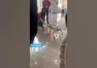 Dog Robot Event Rent 8122540589 Delhi Mumbai Hyderabad Pune Goa Bangalore Chennai Coimbatore India
