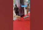 Dog Robot Event Rent 8122540589 Bengaluru Tech Summit Event Bangalore Hyderabad Mumbai Pune India