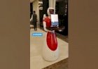 Robot Photobooth Event Rent 8122540589 Jaipur Udaipur Delhi Gurgaon Mumbai Hyderabad Rajasthan India
