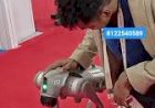 Dog Robot Event Rent 8122540589 Bangalore Bengaluru Hyderabad Mumbai Pune Goa Chennai India