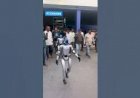 Humanoid Robot Event Rent 8122540589 Mumbai pune Hyderabad Bangalore Delhi Goa Chennai Jaipur India