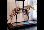 Kinetic Horse Art Mechanism New Concept Decor Event 8122540589 Delhi Mumbai Jaipur Hyderabad India