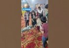 Dog Robot Interactive with kinds School Event Rent 8122540589 Hyderabad Bangalore Mumbai Pune India