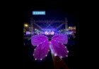 Flying Butterfly New in Event Rent 8122540589 Mumbai Pune Goa Hyderabad Bangalore Gujarat India