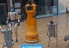 Ai Humanoid Robot Event Rent 8122540589 Bangalore Mysore Hyderabad Mumbai Chennai Andhra Goa India