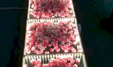 LED Glass Flower Floor platform pathway passage Decoration +91 81225 40589 New Concept Floor Chennai