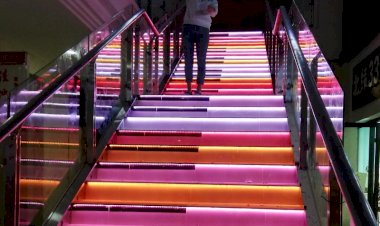 Motion Sensor stairs light | Automatic steps Light +91 81225 40589 Smart Home Automation Technology