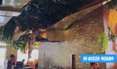 Kinetic Horse wall Decoration +91 8122540589 India | New Concept Creative | Mechanism job India