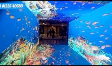 Tunnel Led Entrance 81225 40589 New Concept Entry Decoration India | Chennai | Hyderabad | Andhra