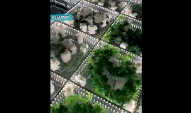 Glass Floor Design 81225 40589 | Pathway | platform | Stage | Wedding Reception Event India