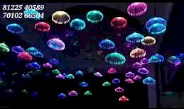 Jellyfish avatar Water theme Decoration 8122540589 ceiling hanging led light New Concept India