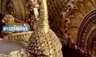 Grand Wedding catering Food service 8122540589 India peacock chair table new design