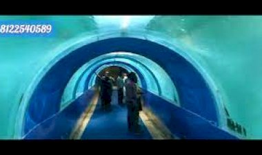 Fish Aquarium Tunnel Rent 8122540589 India Hyderabad Bangalore Chennai Vijayawada Goa Coimbatore