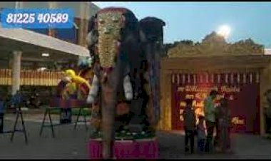 Grand Wedding Horse Elephant Entrance Decoration 8122540589 Chennai Coimbatore Andhra Bangalore