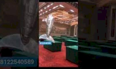 Dolphin fly Air balloon 8122540589 New concept Birthday Corporate Event Remote operate India