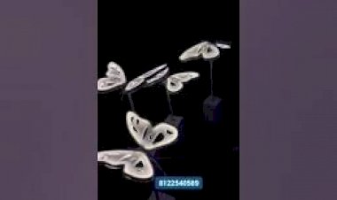 Butterfly New Design Decoration 8122540589 India Hyderabad Bangalore Delhi Mumbai Pune goa Chennai