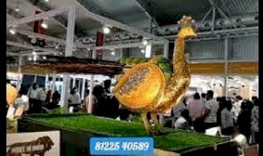 Gold Robot Dancing Peacock 8122540589 Wedding Event Decoration Mechanism India