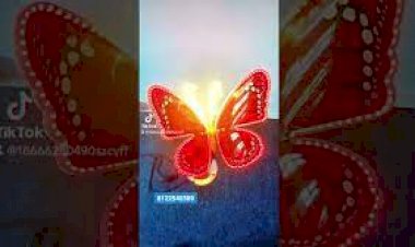 Kinetic Butterfly 8122540589 Motion Art sculpture mechanism Butterfly Event pub club Decor India