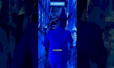 3D Mirror Tunnel Entry Event New Design Decor 8122540589 glass tunnel silver gold panel sheet India