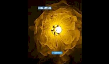 kinetic Flower Event Decoration 8122540589 India Blossom Flower LED Flower 