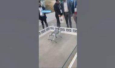 Dog Robot Event New Concept 81225 40589 Mumbai Bangalore Hyderabad Andhra Chennai Goa India #Robo