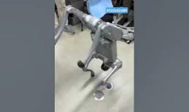 #Dog Robo Interactive Event 8122540589 Chennai Bangalore Hyderabad Mumbai Coimbatore Kerala India