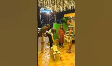 #Dog Robo Rent 8122540589 India New Interactive promotion Activities Chennai Bangalore Hyderabad