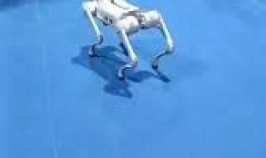 #Dog Robot Event Entertainment Activities New Concept 8122540589 Bangalore Hyderabad Chennai Goa India