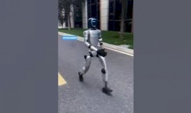 Ai Humanoid Robot Rent 8122540589 New Corporate Event educational Institute University Mumbai India
