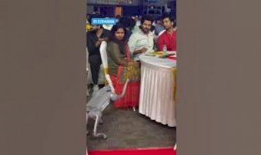 Dog Robot Event Rent New concept 8122540589 Chennai Bangalore Hyderabad Mumbai Goa Andhra India #Dog