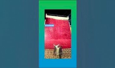 Kabuki curtain Drop 8122540589 New Building Showroom office company open inauguration Event India